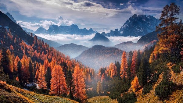 Природа горы лес