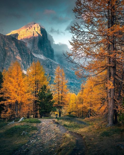 Пейзаж осени