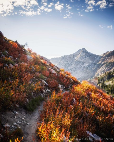 Геленджик горы осень