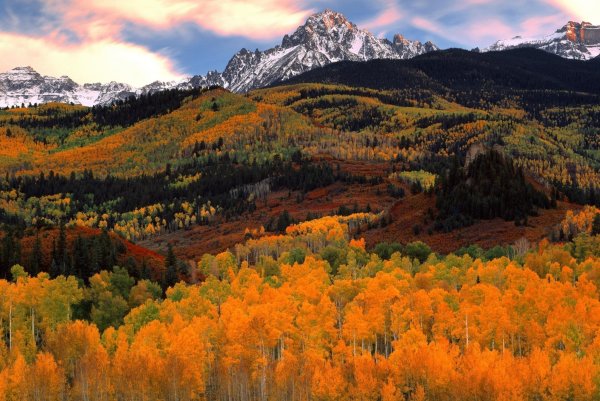 Красивая осень