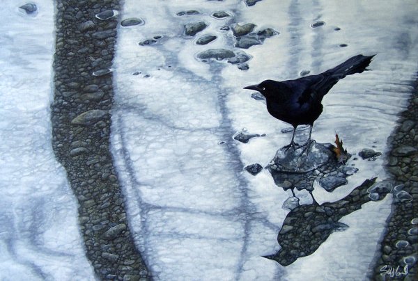 Ворона на снегу