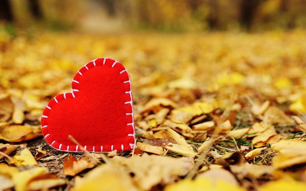 Осеннее сердечко