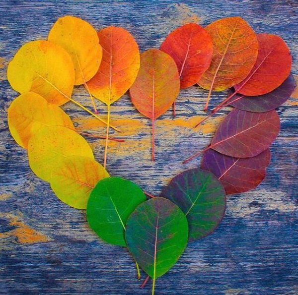 Сердечко из осенних листьев