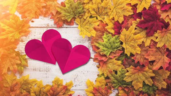 Осенние листья сердце