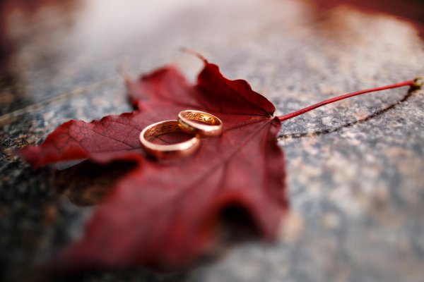 Кольца на осенних листьях