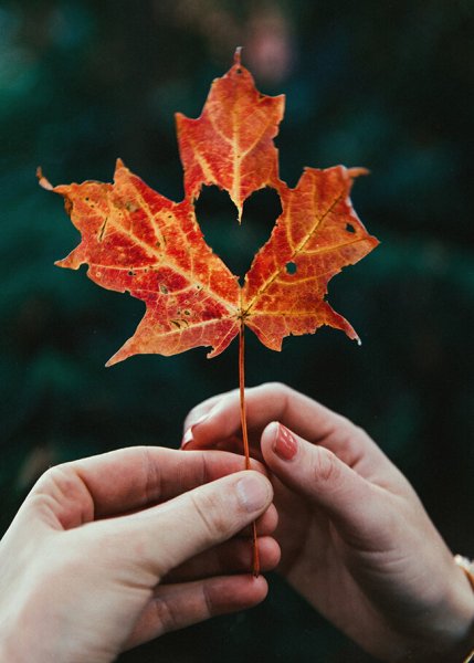 Осенние листья в руках