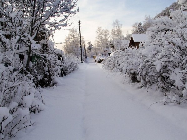 Зимняя дача