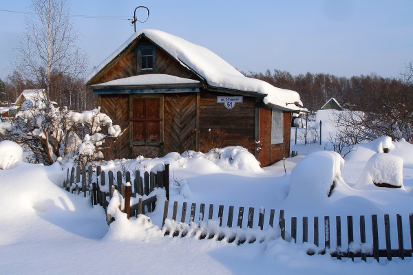 Деревенский участок зимой