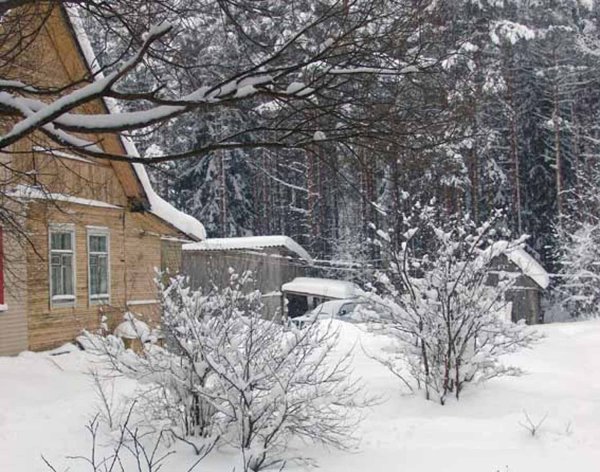 Садовый участок зимой