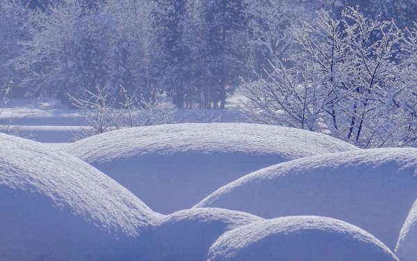 Снег сугробы