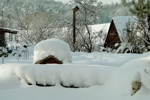 Зимний огород