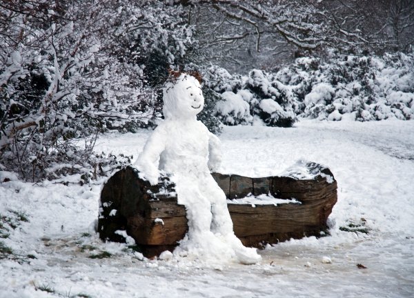 Человек из снега