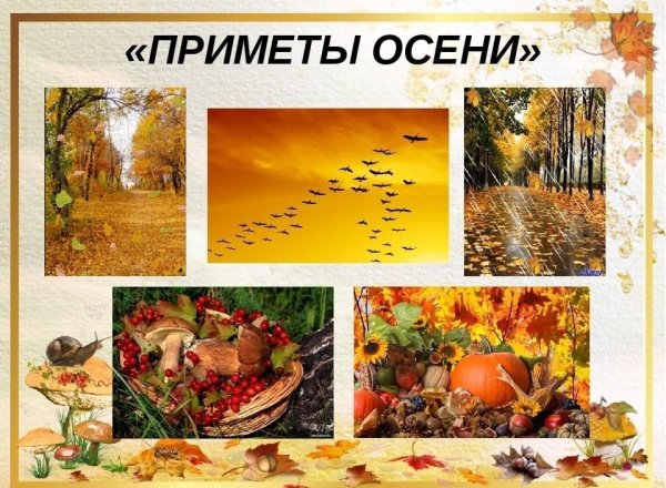 Осенние приметы