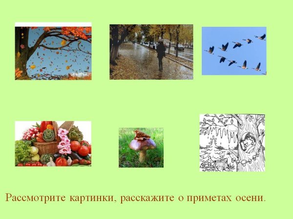 Приметы поздней осени для дошкольников