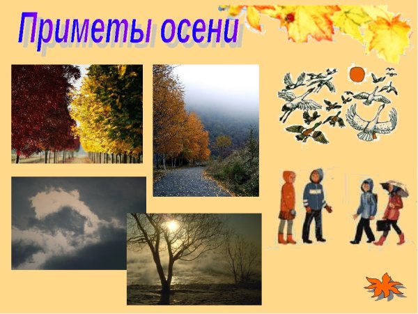 Презентация приметы осени