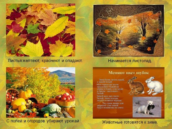 Приметы осени для дошкольников
