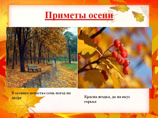 Приметы осени