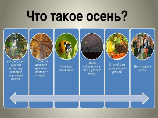 Привет, осень!