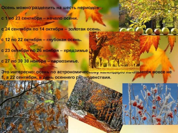Интересные факты об осени