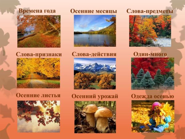 Признаки осени для детей