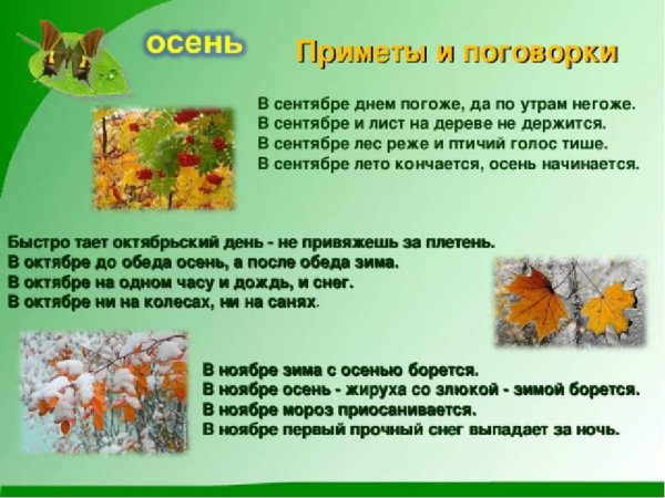 Приметы осени для дошкольников