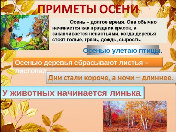 Приметы поздней осени для дошкольников