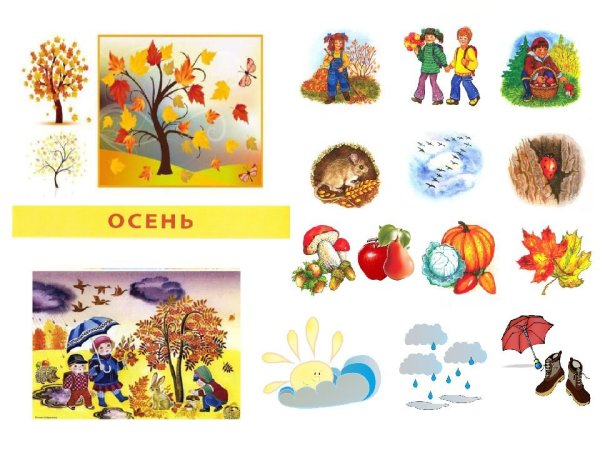 Признаки осени для детей