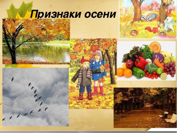 Признаки осени для детского сада