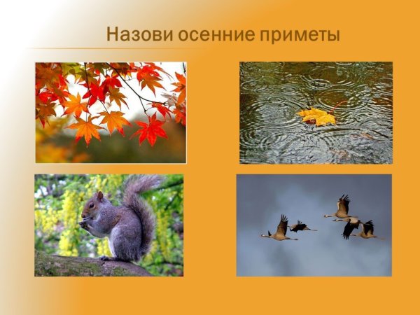 Назови приметы осени