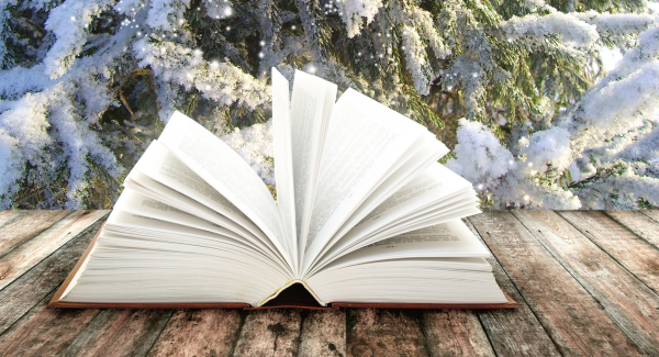 Зимнее чтение