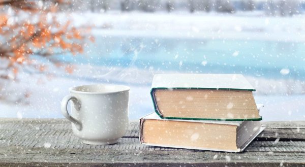 Книги зима
