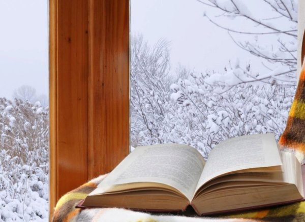 Книга на снегу