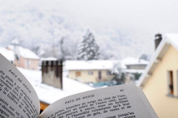 Зимняя книга