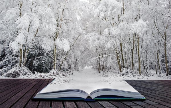 Книги зима