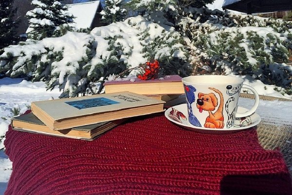 Книги зима