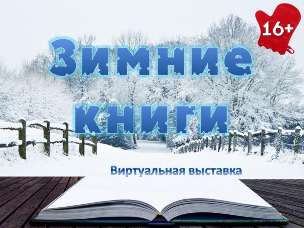 Зимняя книга