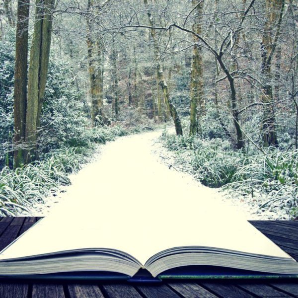 Зимняя книга