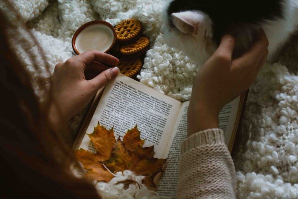 Уютно с книгой