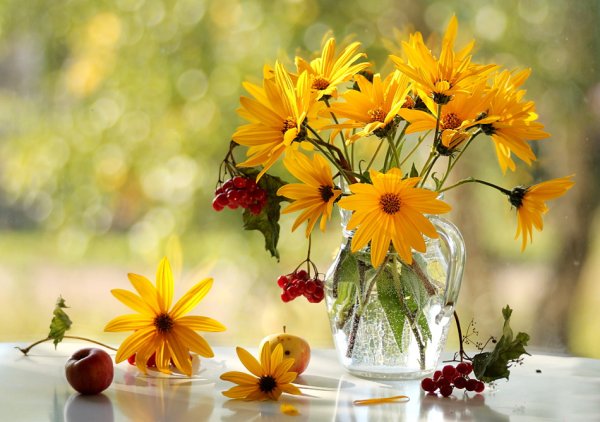 Осень цветы