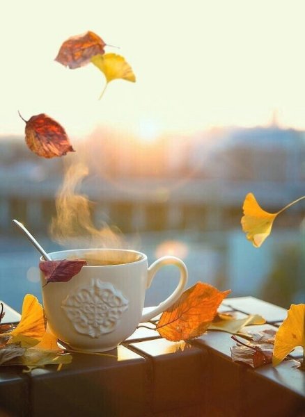 Доброе осеннее утро