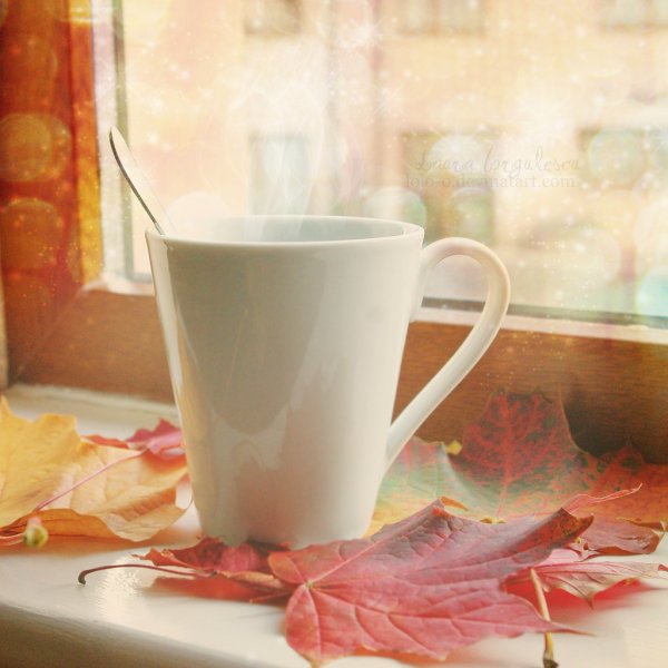 Холодное осеннее утро