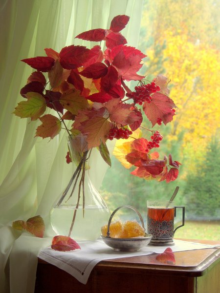 Сергей Алексеев Фотонатюрморты осенние