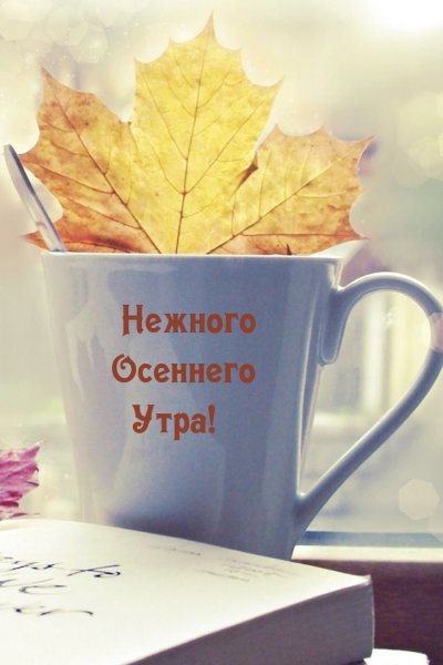 Листья в кружке