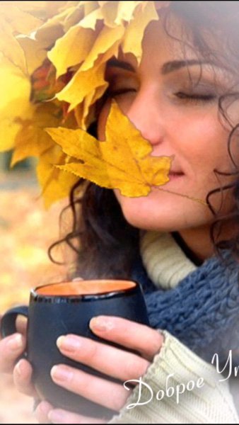 Доброе утро осень