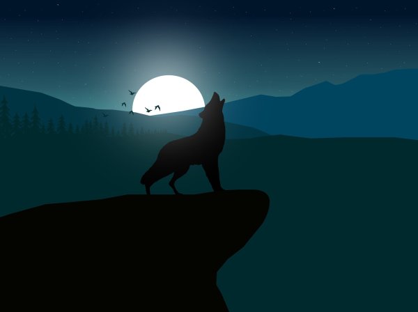 Силуэт волка