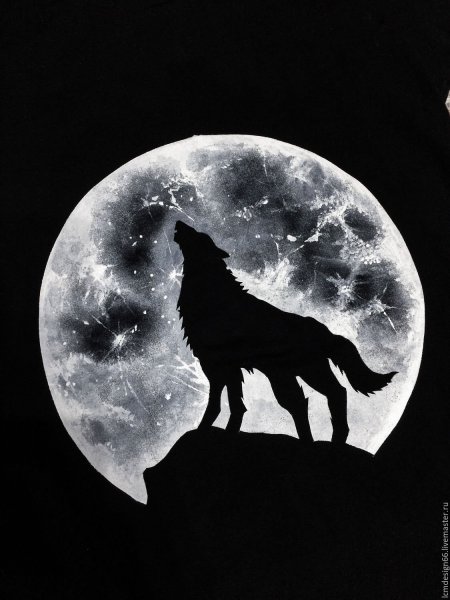 Волк воет на луну рисунок