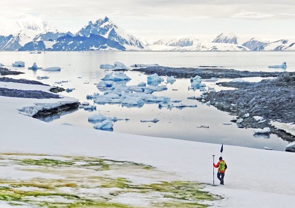 Потепление в Антарктиде 2020