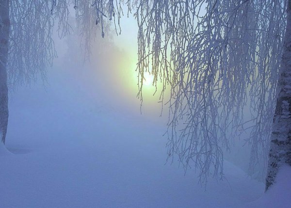 Зимний пейзаж метель