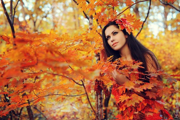 Красивые женщины осенью