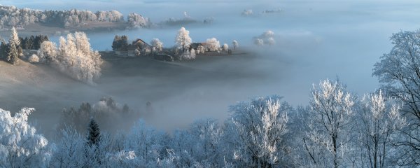 Природа туман